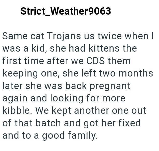 Strict Weather9063 Same cat Trojans us twice when I was a kid, she had kittens the first time after we CDS them keeping one, she left two months later she was back pregnant again and looking for more kibble. We kept another one out of that batch and got her fixed and to a good family.