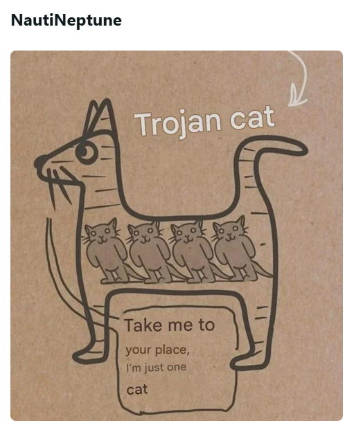 NautiNeptune Trojan cat Take me to your place, I'm just one cat