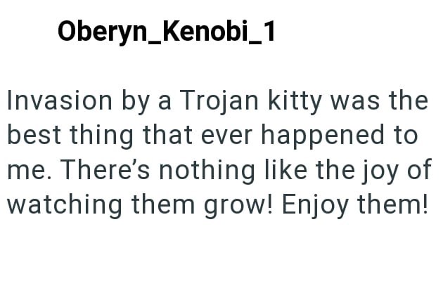 Oberyn_Kenobi_1 Invasion by a Trojan kitty was the best thing that ever happened to me. There's nothing like the joy of watching them grow! Enjoy them!
