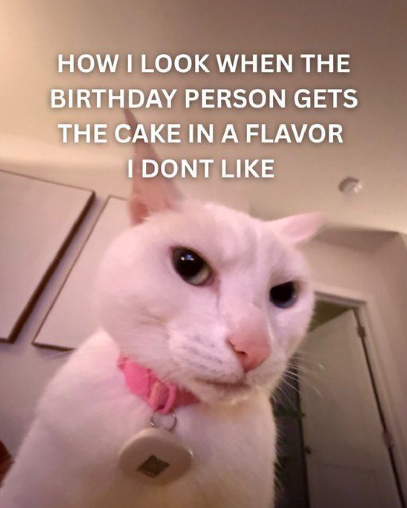 HOW I LOOK WHEN THE BIRTHDAY PERSON GETS THE CAKE IN A FLAVOR I DONT LIKE