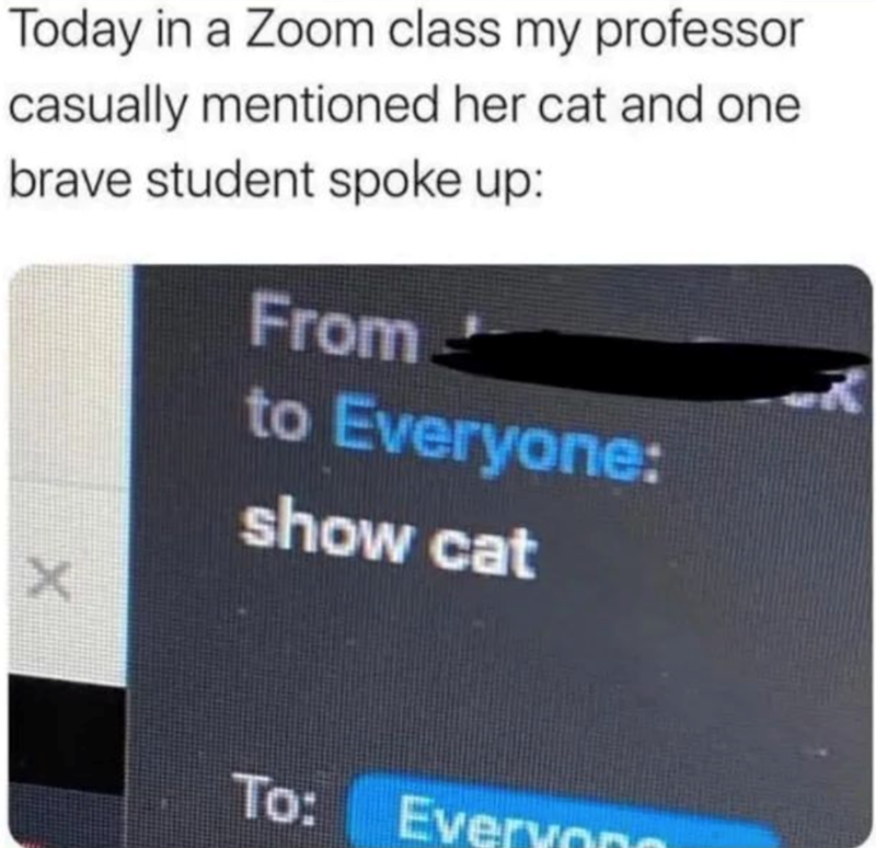 Today in a Zoom class my professor casually mentioned her cat and one brave student spoke up: From to Everyone: show cat X To: Evervan