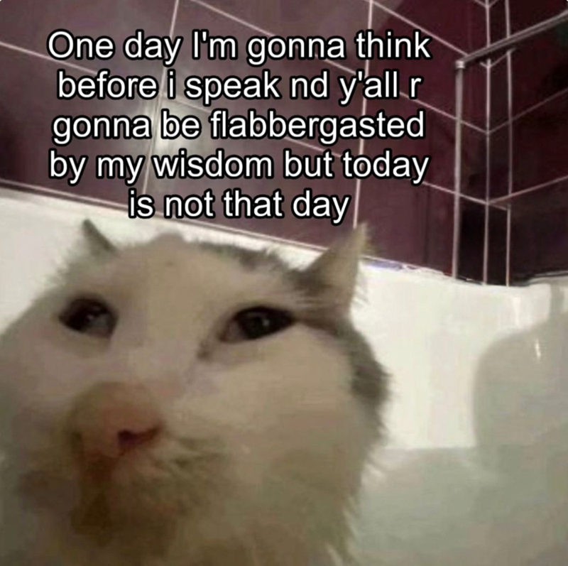 One day I'm gonna think before i speak nd y'all r gonna be flabbergasted by my wisdom but today is not that day