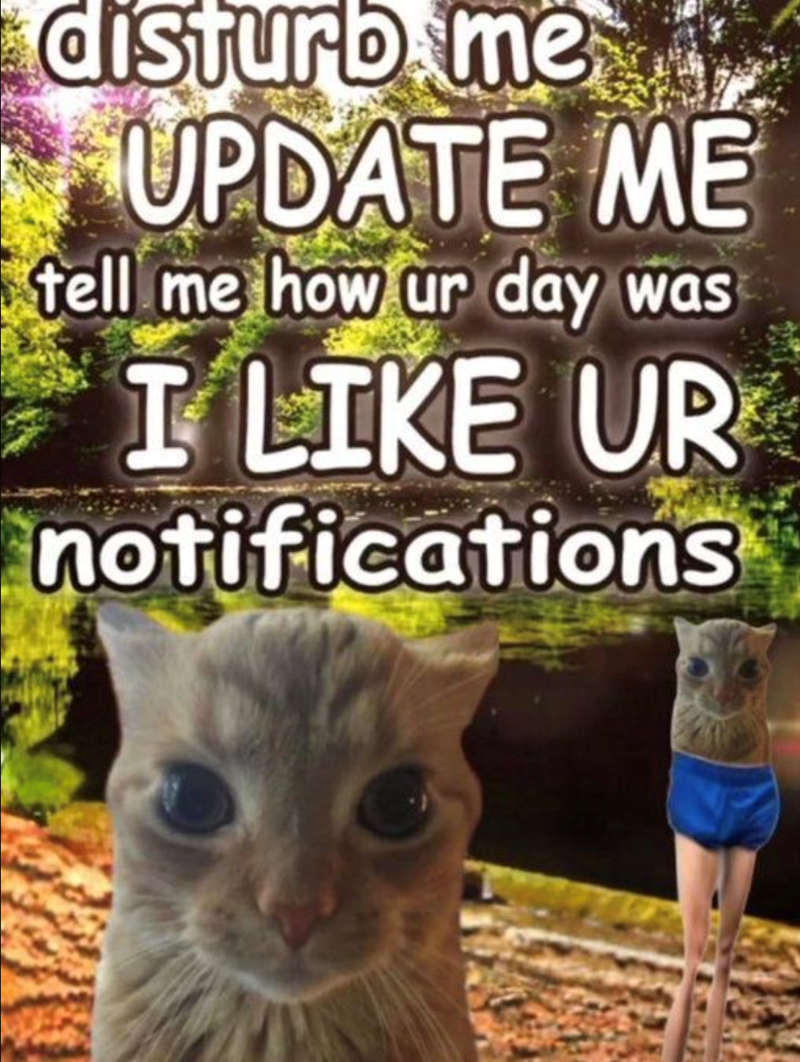 disturb me UPDATE ME tell me how ur day was I LIKE UR notifications