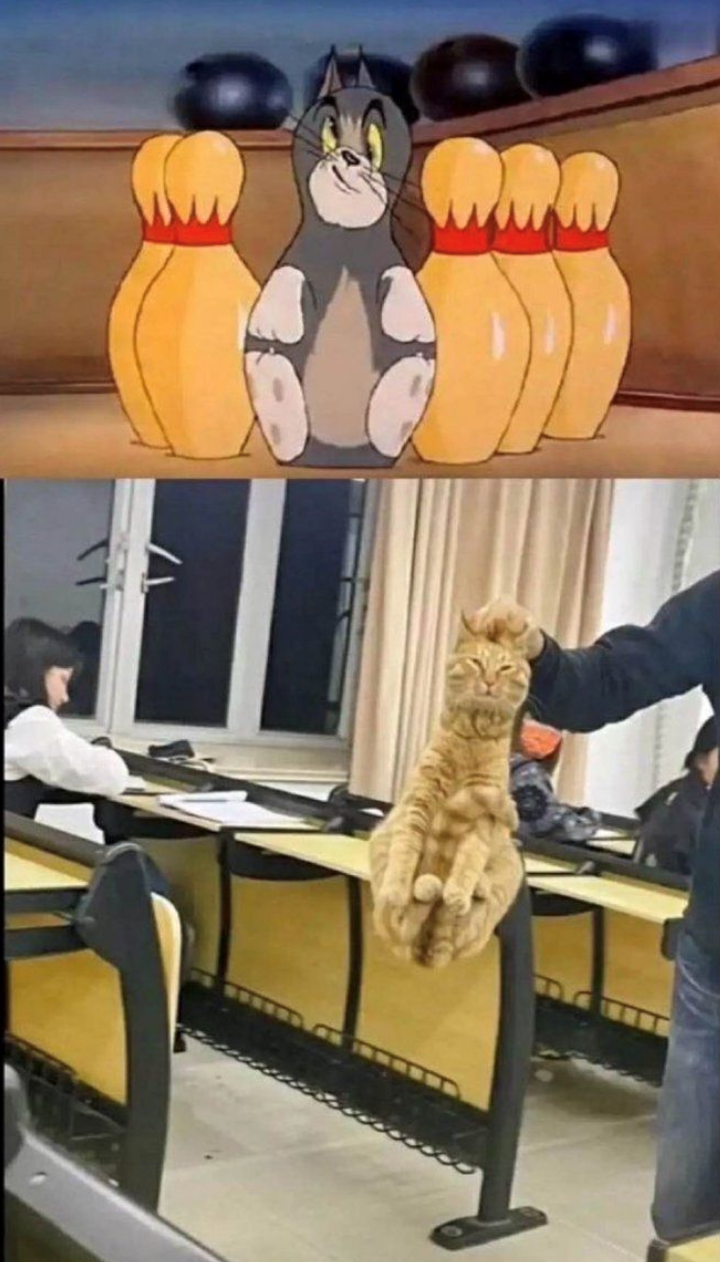 Cheezburger Image 10611021568