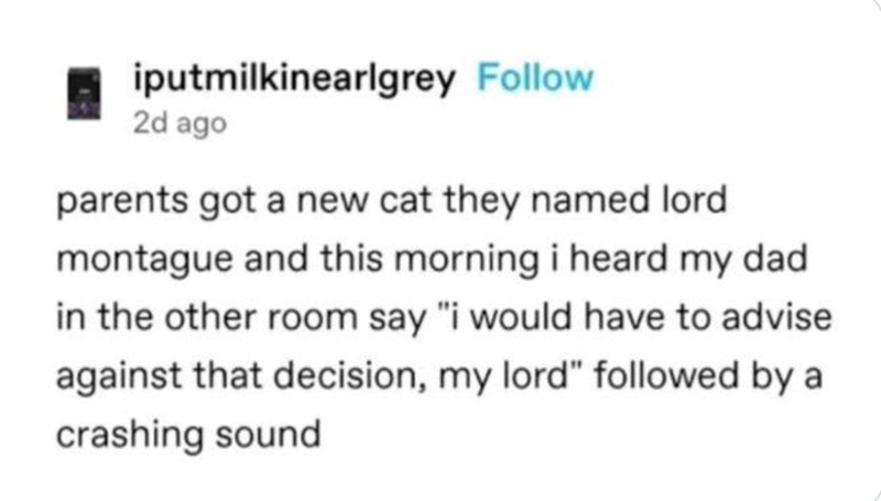 iputmilkinearlgrey Follow 2d ago parents got a new cat they named lord montague and this morning i heard my dad in the other room say "i would have to advise against that decision, my lord" followed by a crashing sound