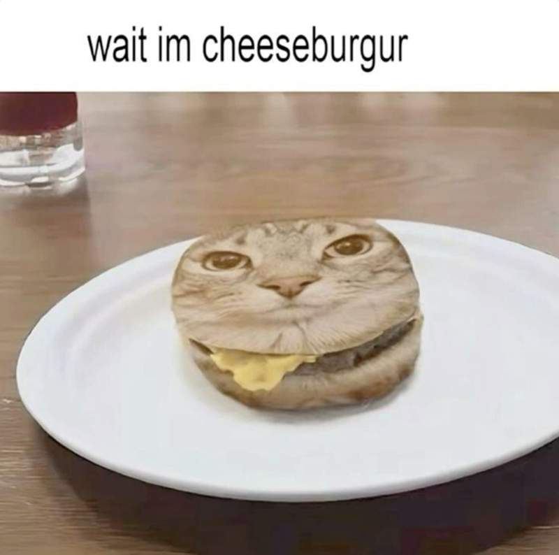 wait im cheeseburgur