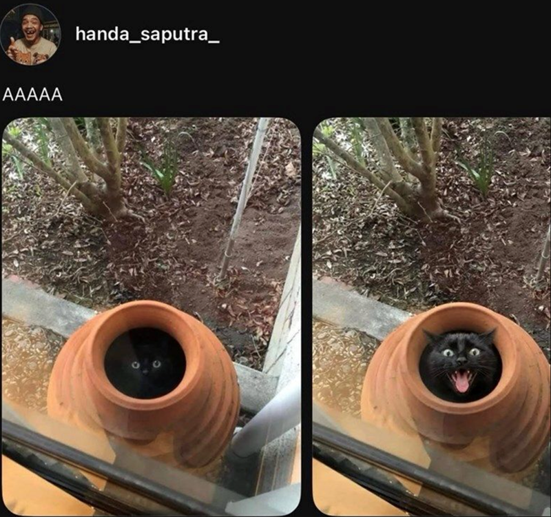 AAAAA handa_saputra_