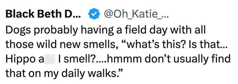 Black Beth D... @Oh_Katie_... Dogs probably having a field day with all those wild new smells, "what's this? Is that... Hippo a I smell?....hmmm don't usually find that on my daily walks."