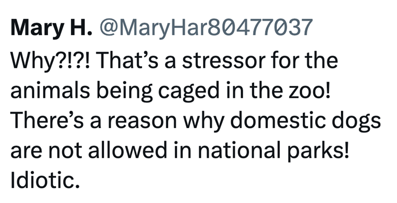 Mary H. @MaryHar80477037 Why?!?! That's a stressor for the animals being caged in the zoo! There's a reason why domestic dogs are not allowed in national parks! Idiotic.