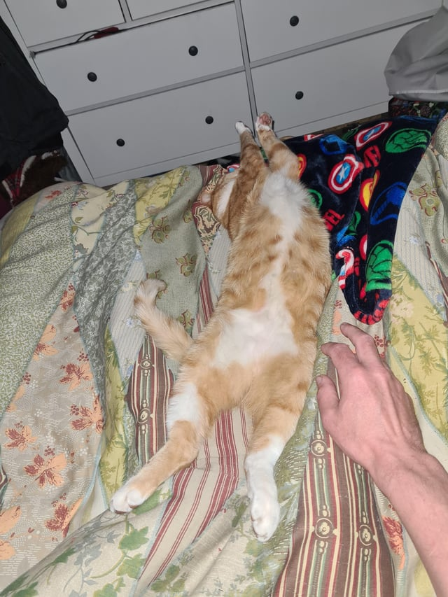 Cheezburger Image 10611042816