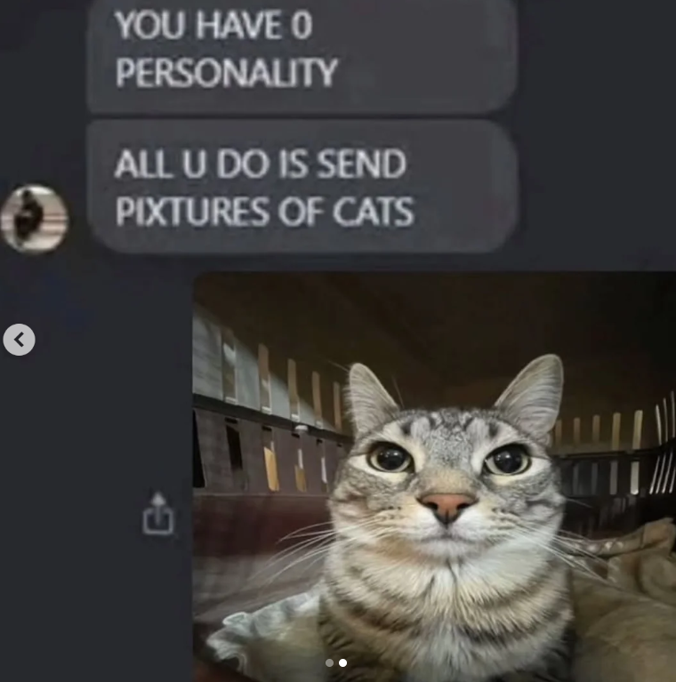 YOU HAVE 0 PERSONALITY ALL U DO IS SEND PIXTURES OF CATS