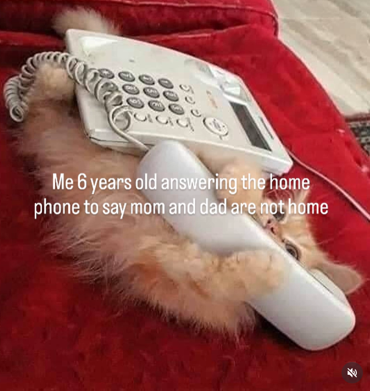 Me 6 years old answering the home phone to say mom and dad are not home