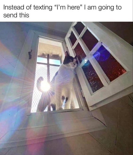 Instead of texting "I'm here" I am going to send this