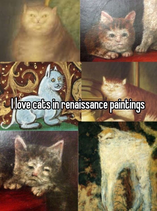 I love cats in renaissance paintings