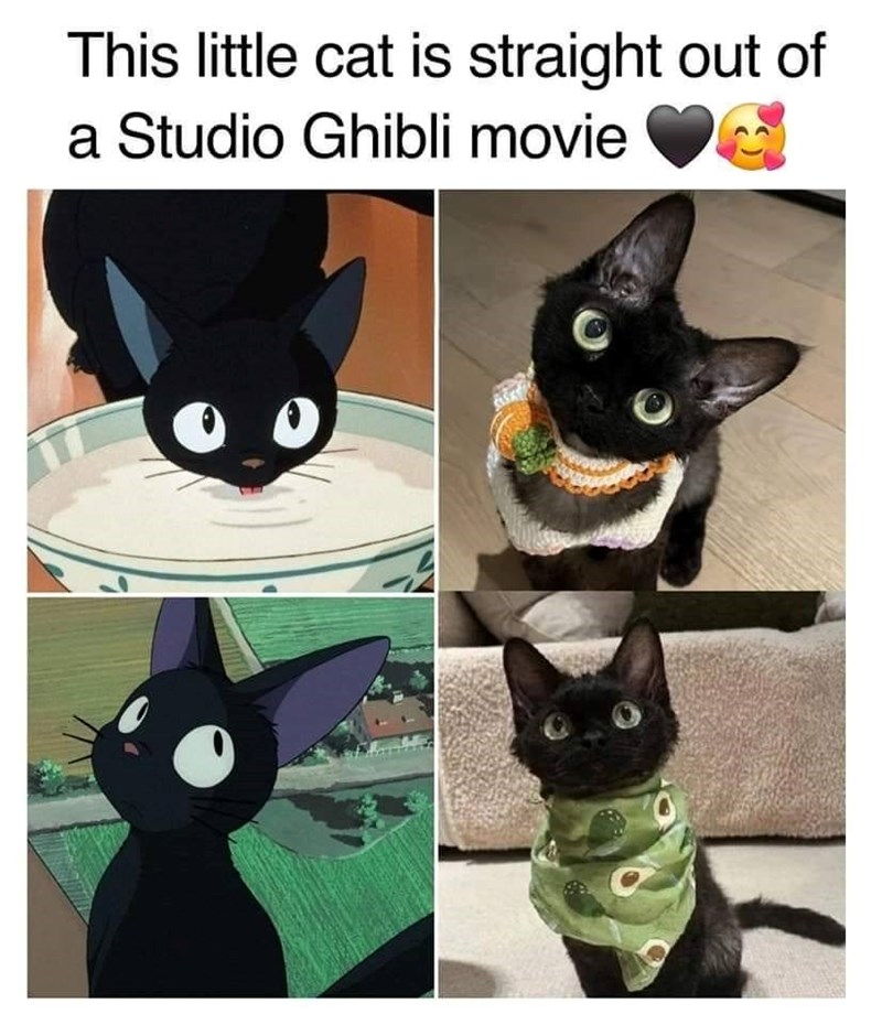 This little cat is straight out of a Studio Ghibli movie