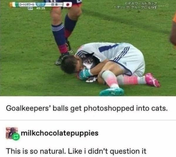 コートジボワール FIFA ワールドカップ 45:25 1次リーグ グループC LIVE Goalkeepers' balls get photoshopped into cats. milkchocolatepuppies This is so natural. Like i didn't question it