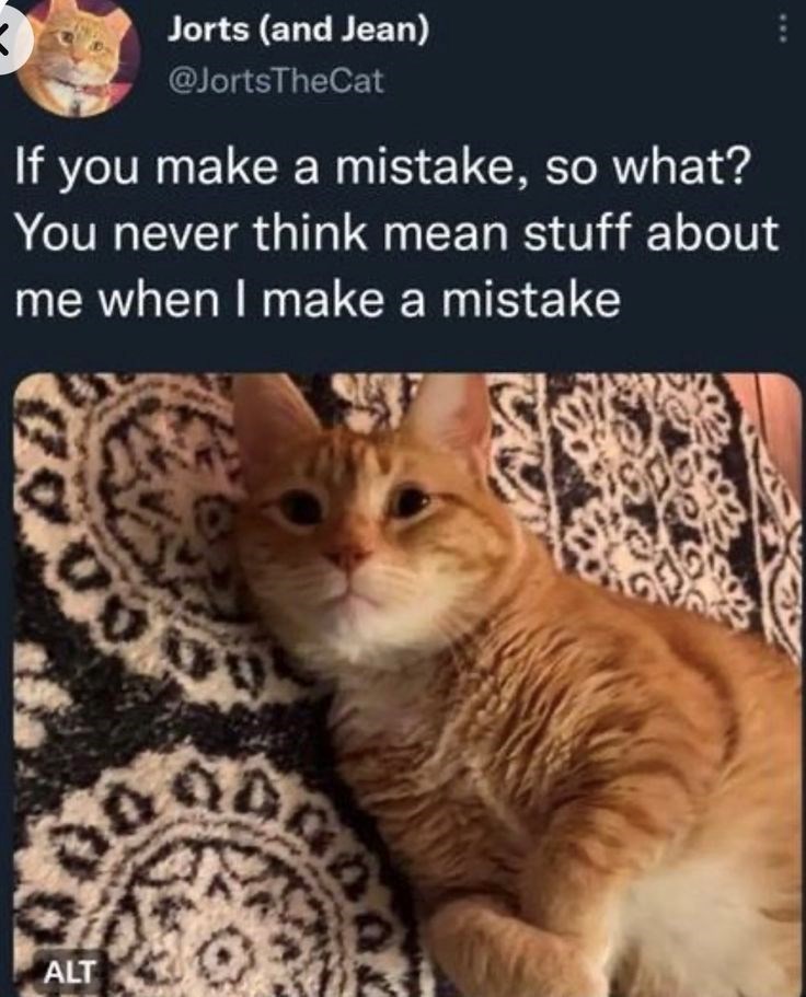 Jorts (and Jean) @JortsTheCat If you make a mistake, so what? You never think mean stuff about me when I make a mistake 00 ALT