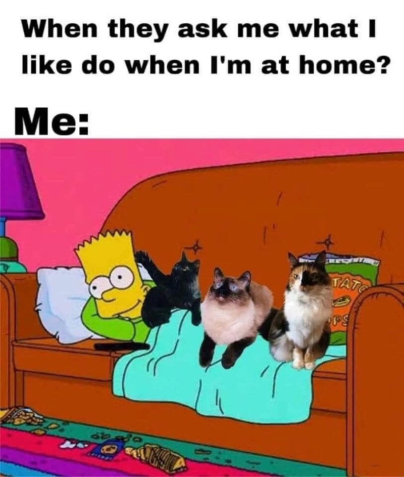 When they ask me what I like do when I'm at home? Me: TATO