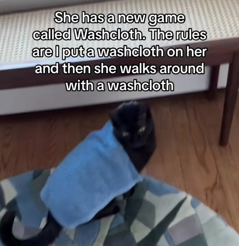 She has a new game called Washcloth. The rules are I put a washcloth on her and then she walks around with a washcloth