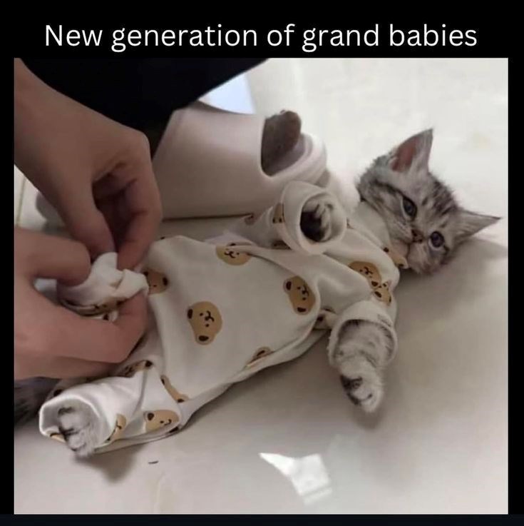 New generation of grand babies