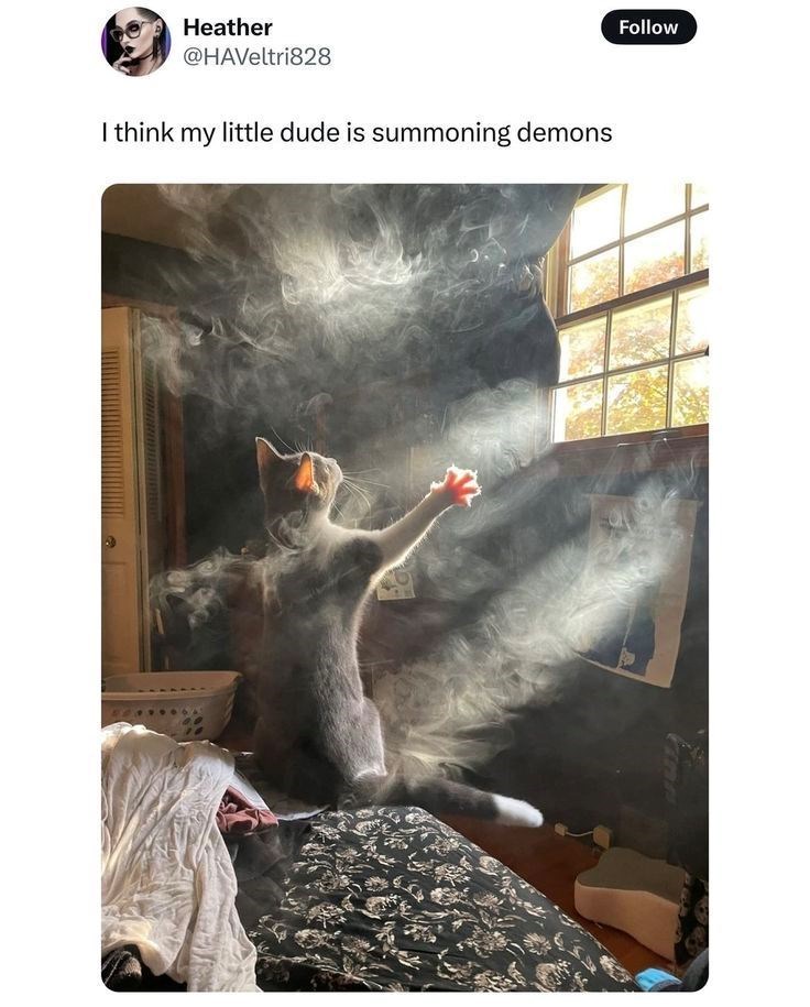 Heather @HAVeltri828 I think my little dude is summoning demons Follow