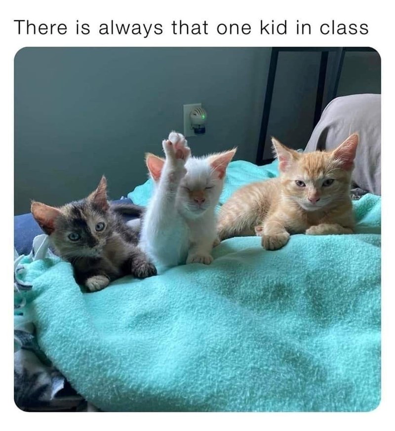 There is always that one kid in class.