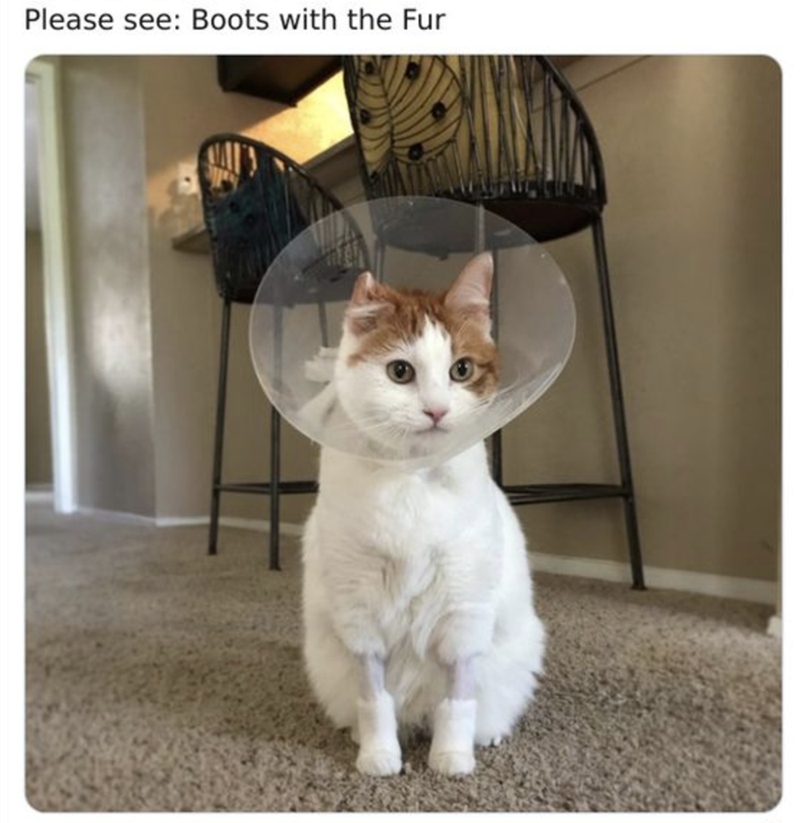 Please see: Boots with the Fur