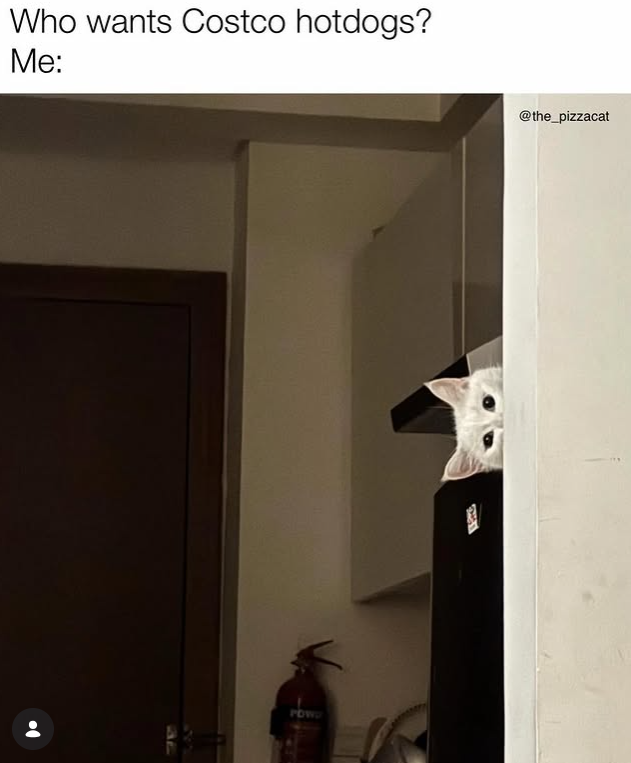 Who wants Costco hotdogs? Me: 32 @the_pizzacat POW