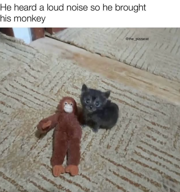 He heard a loud noise so he brought his monkey @the_pizzacat
