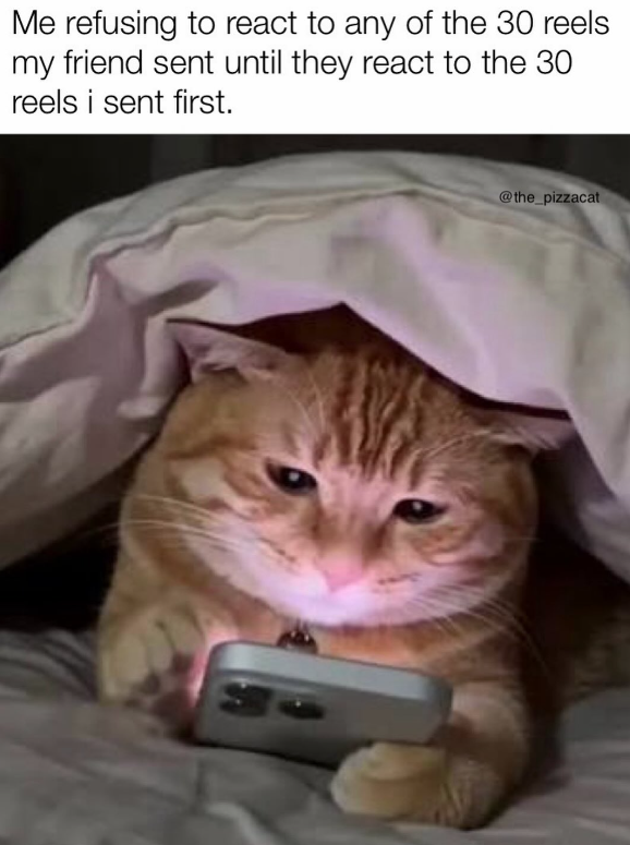 Me refusing to react to any of the 30 reels my friend sent until they react to the 30 reels i sent first. @the_pizzacat