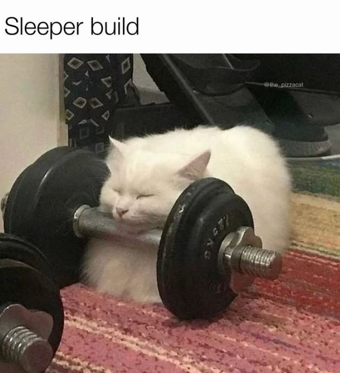 Sleeper build @the pizzacat