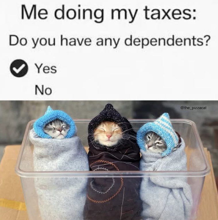 Me doing my taxes: Do you have any dependents? Yes No @the_pizzacat