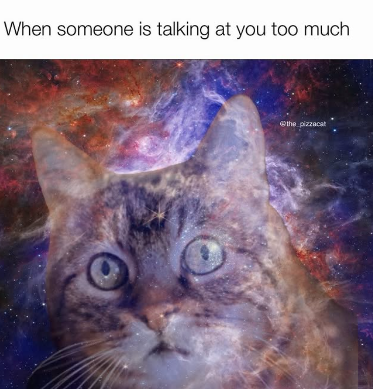 When someone is talking at you too much @the_pizzacat