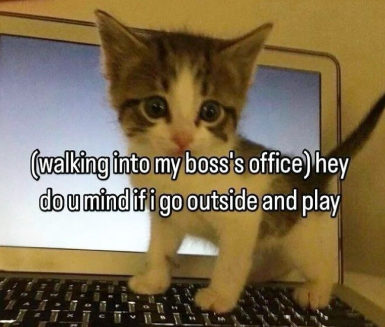 (walking into my boss's office) hey do u mind if i go outside and play