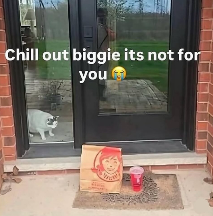 Chill out biggie its not for you