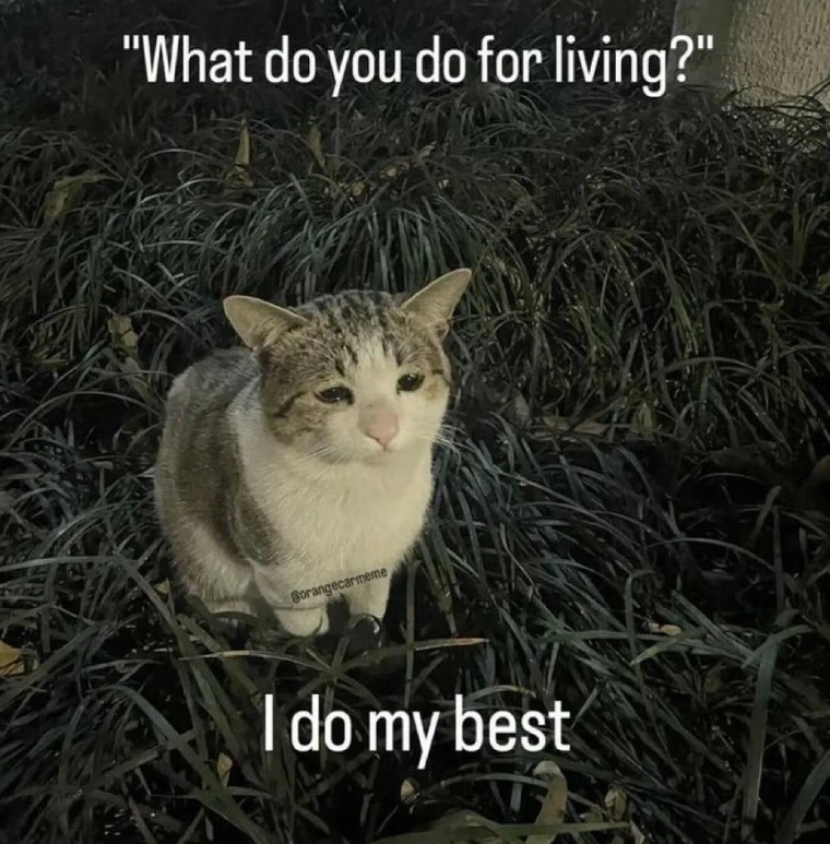 "What do you do for living?" Borangecarmeme I do my best