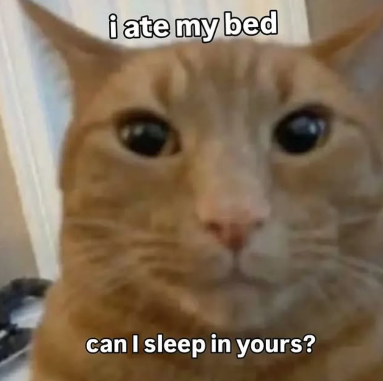 i ate my bed All can I sleep in yours?