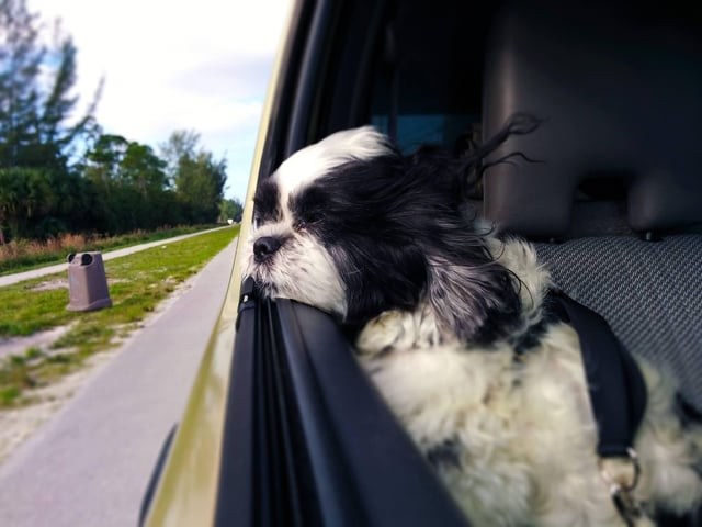 Cheezburger Image 10611057408