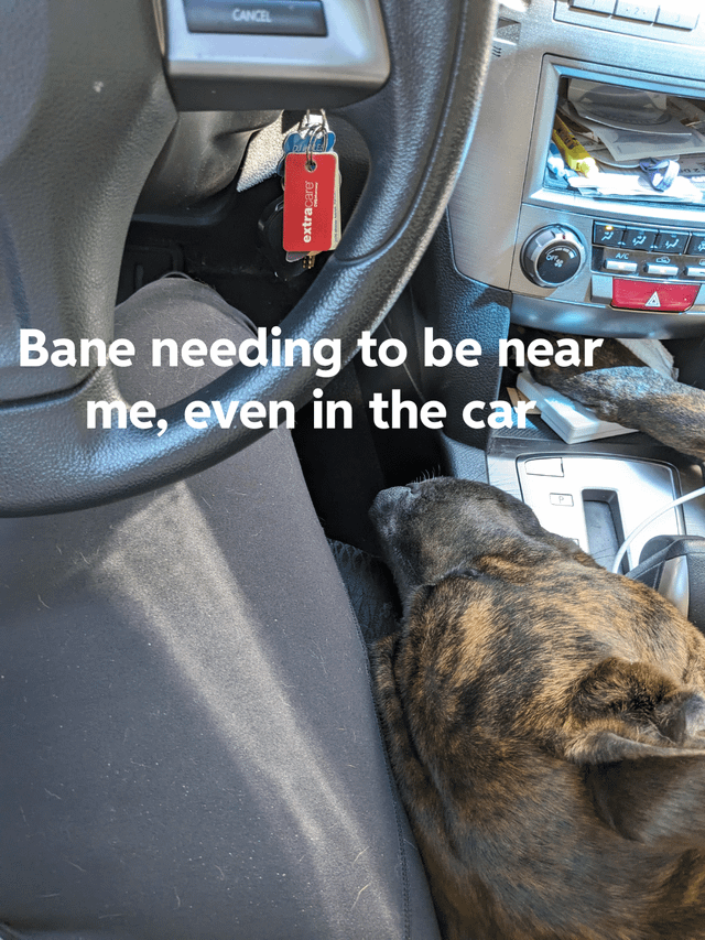 CANCEL extracare Bane needing to be near me, even in the car A/C