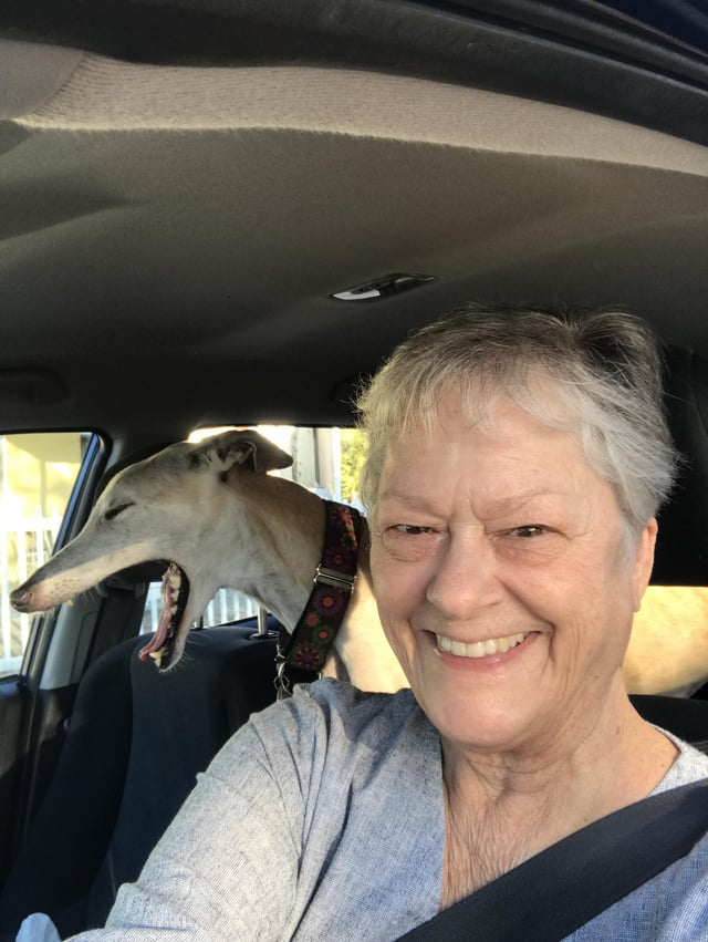 Cheezburger Image 10611057920