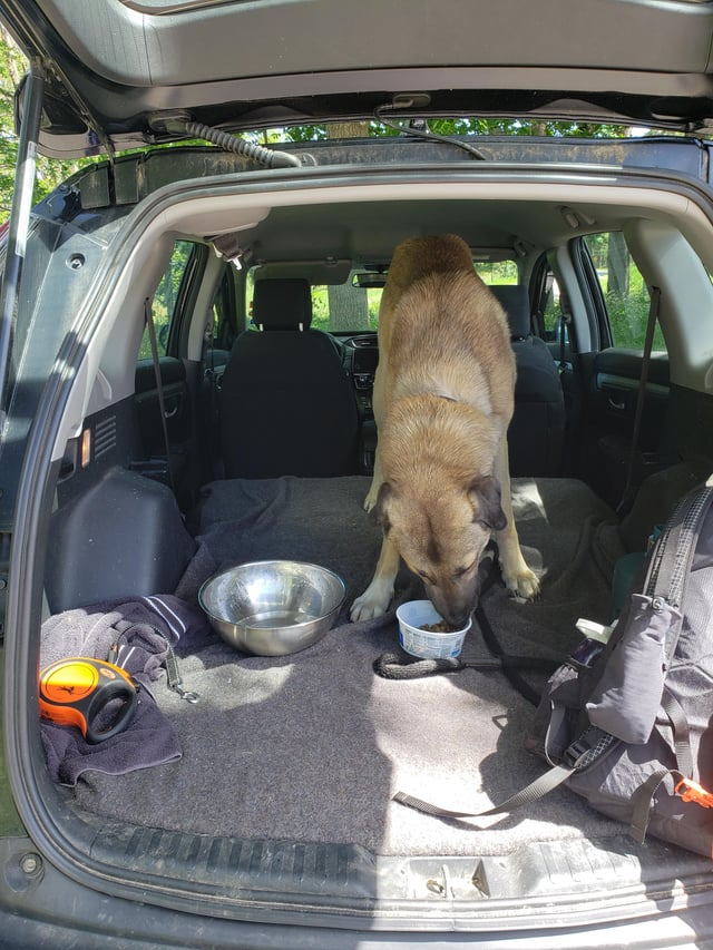 Cheezburger Image 10611058944