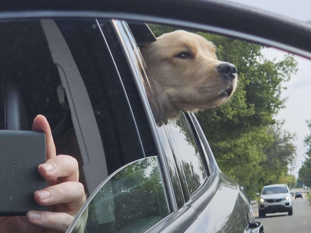 Cheezburger Image 10611059456