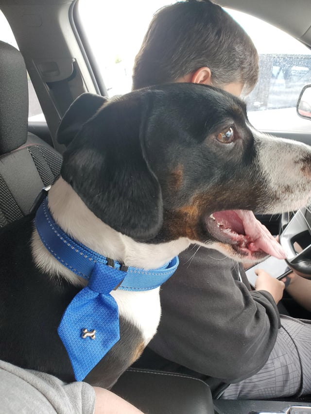 Cheezburger Image 10611060224