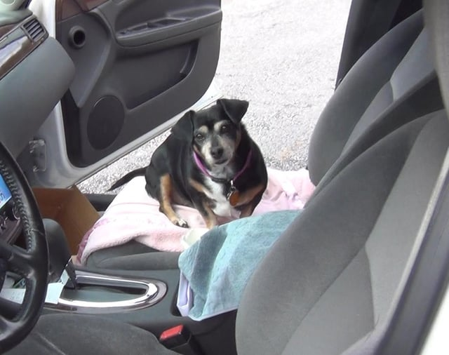 Cheezburger Image 10611060992