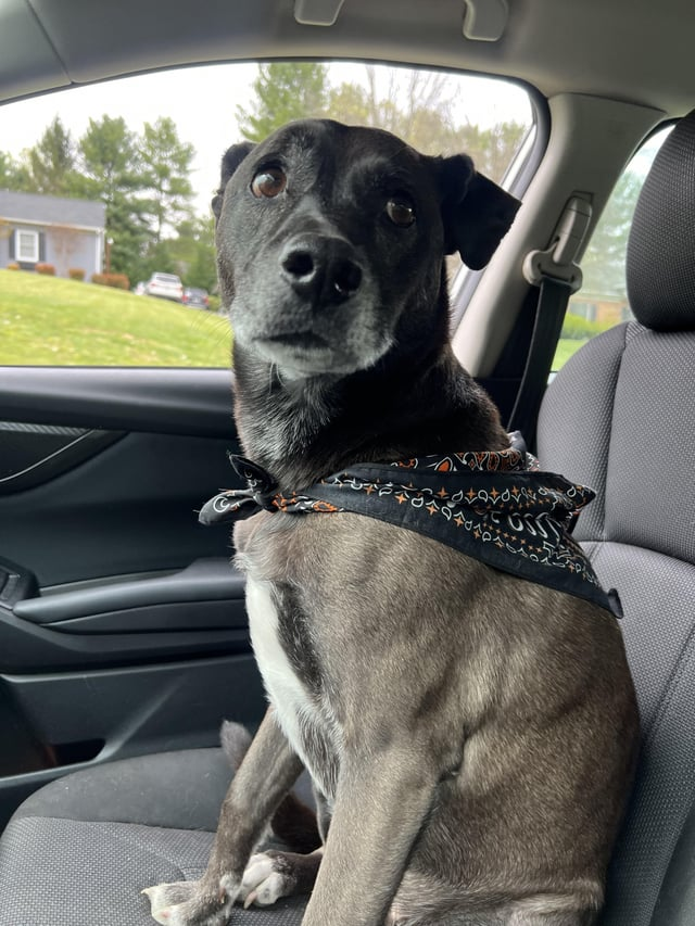 Cheezburger Image 10611061760