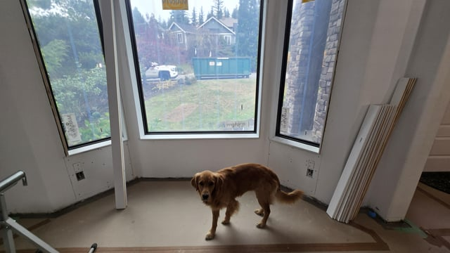 Cheezburger Image 10611064064