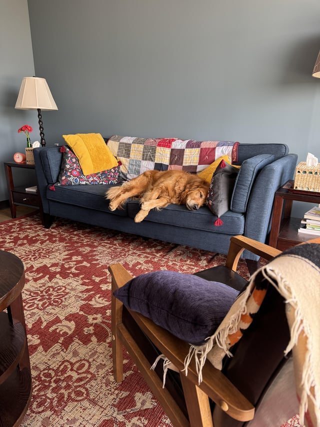 Cheezburger Image 10611064832