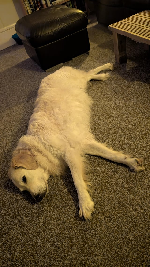 Cheezburger Image 10611065600