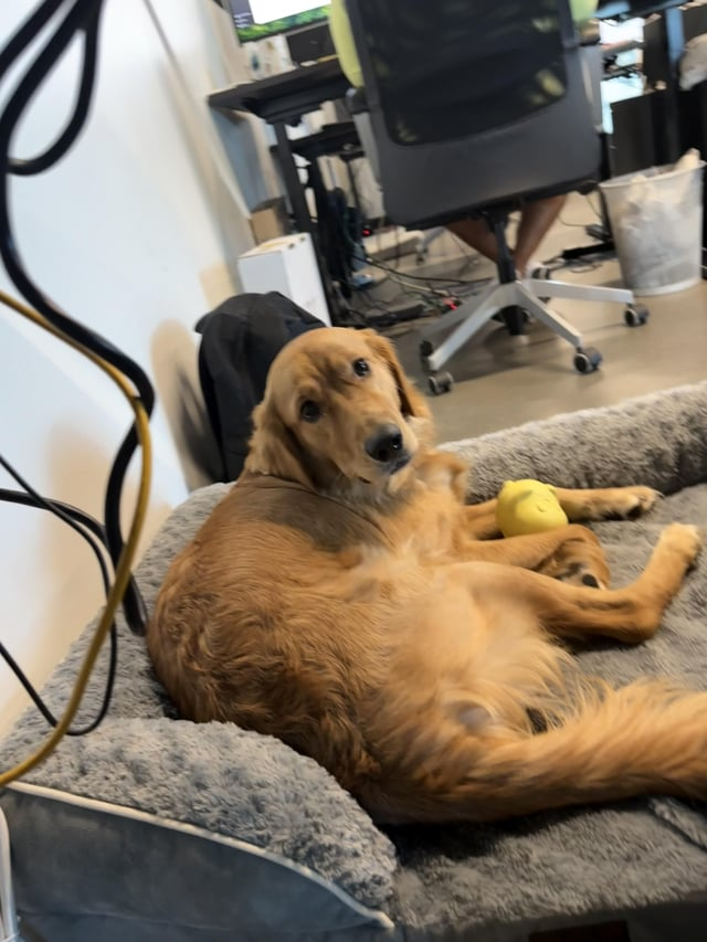 Cheezburger Image 10611066112