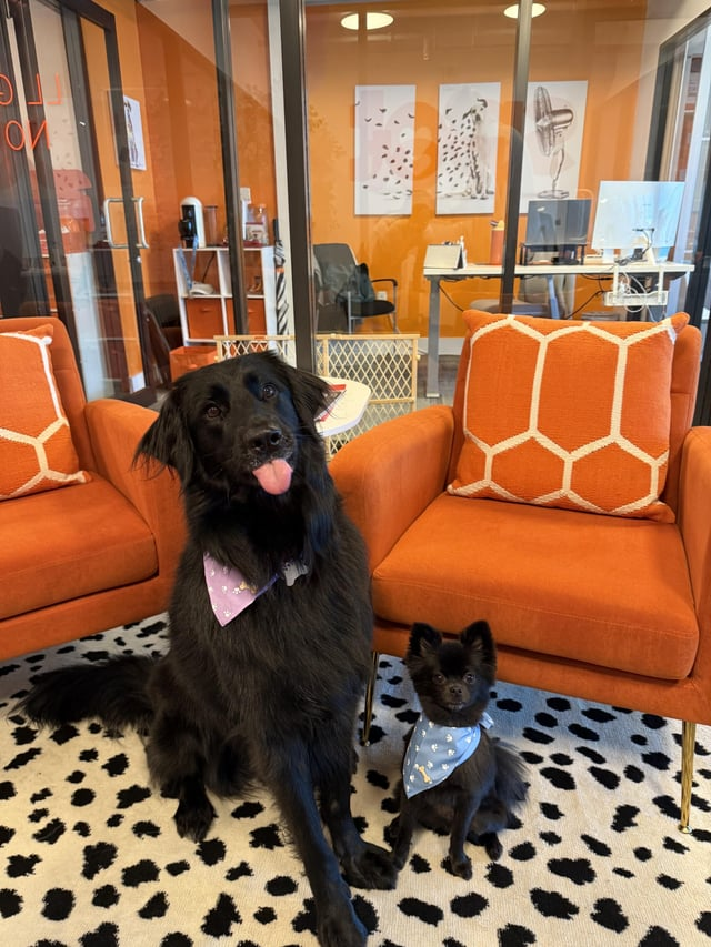 Cheezburger Image 10611068160